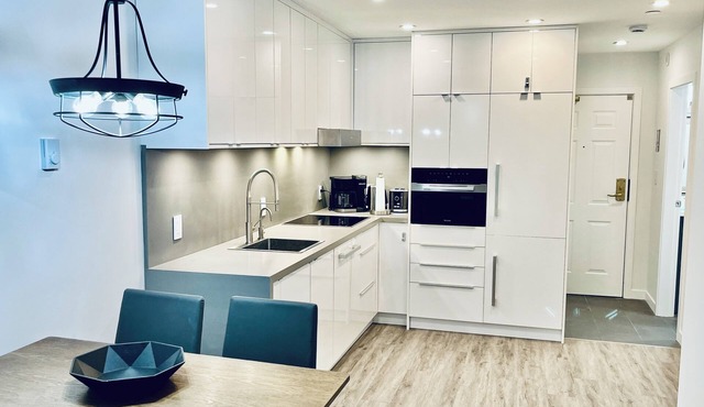 Main Village 1 Bedroom Queen+2 Sofabeds AC Laundry Parking EV Reno