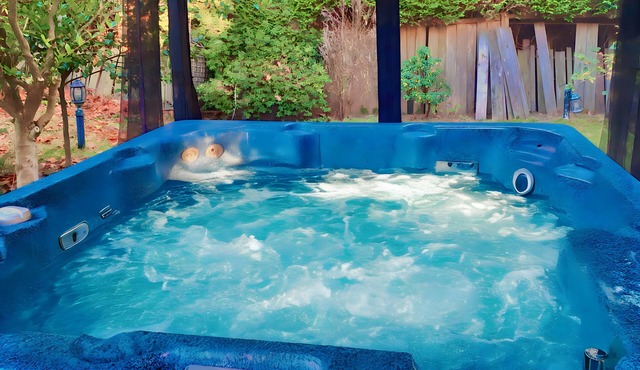 Majestic Mansion Jacuzzi and Game Room