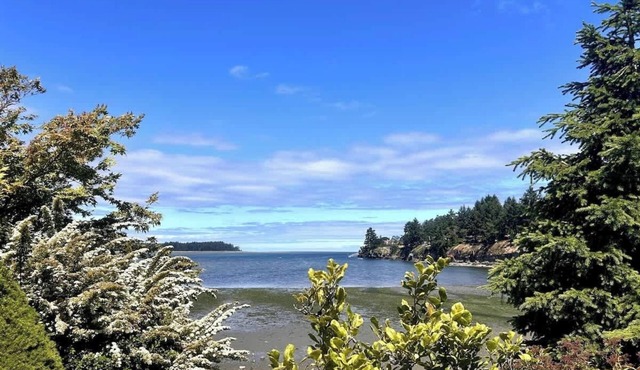 Mermaid Cove - Oceanfront Suite - 2BDRM - Kitchen