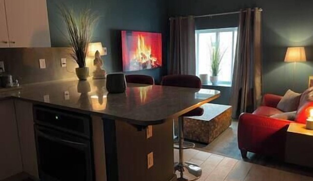 Metropolitan Loft 202