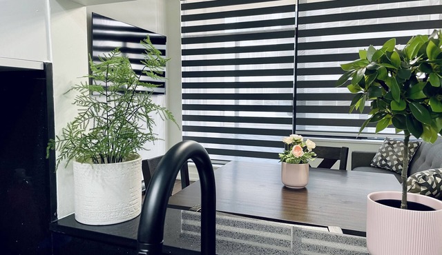 Modern 1BD condo in the heart of downtown