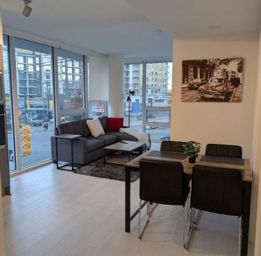 Modern 2 bedroom condo with AC in Olympic Village