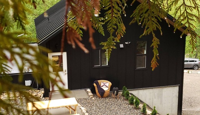Modern Mountain Escape BnB Near Silver Star Mountain Ski Resort & Sovereign Lk