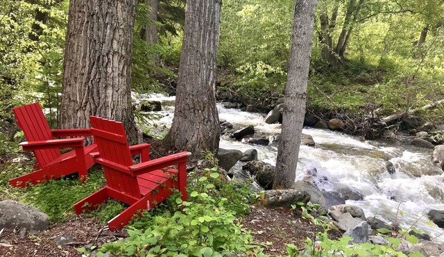 Mountain forest retreat - safari tents by private creek, minutes from Sun Peaks