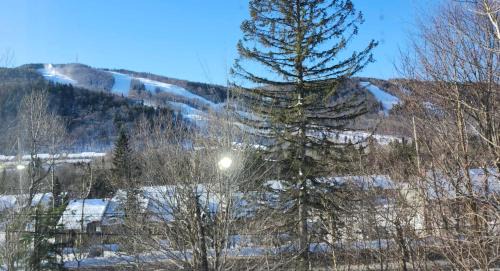 Mountain view chalet avec vue sur la montagne