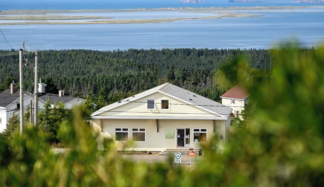 Mountain view family room