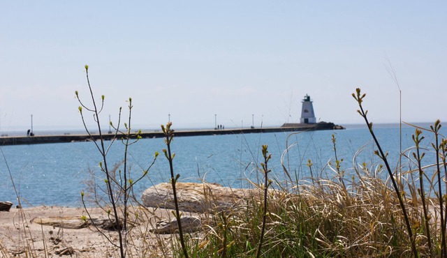 My Lighthouse Cottages #7