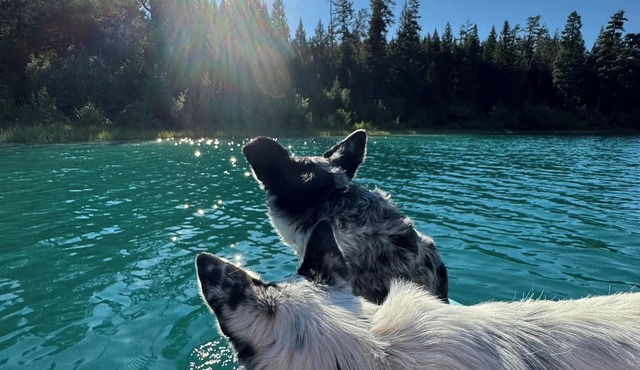 Nestled into the mountains, relax under the star in the hot tub
