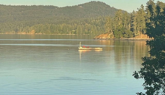 New 1 bedroom Sooke oceanfront guest suite