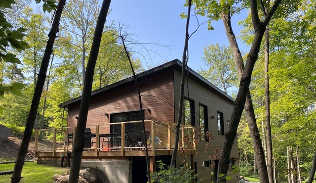 New! Japandi chalet surrounded by forest and outdoors