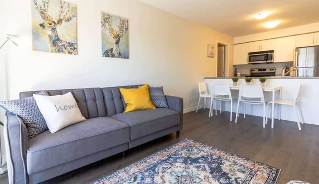 Newly Renovated Modern Condo Near Hospital, UNB Patio & Parking Coffee