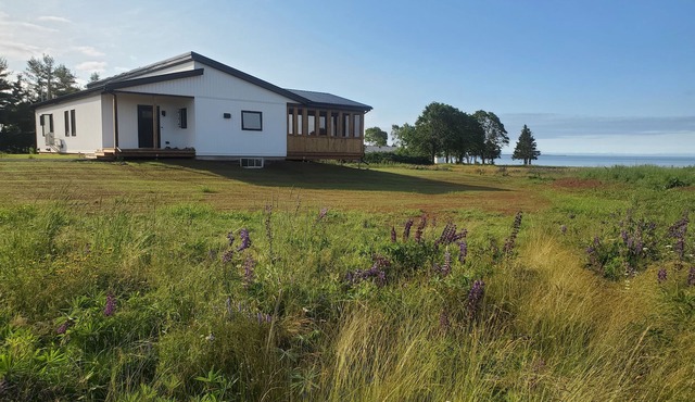 Ocean front, private beach, new modern, minutes to Town, lovely quiet seclusion
