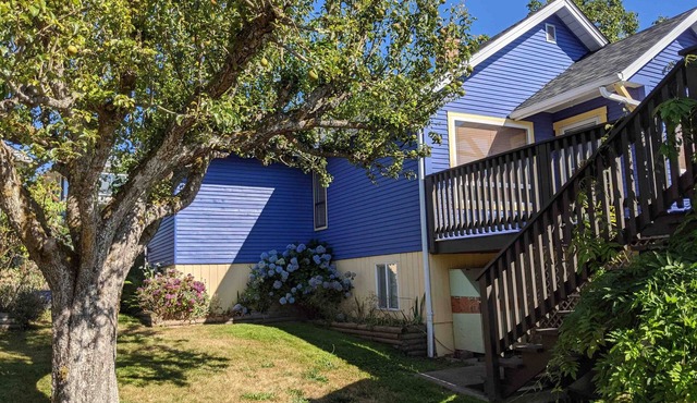 Ocean view walkable character homen