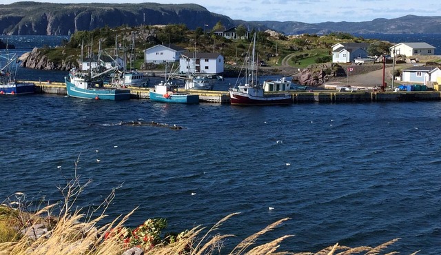 Oceanview Southport Newfoundland!