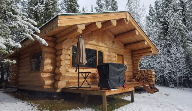 Off-Grid Secluded Log Cabin. Peaceful & Quiet! Off the Beaten Path Hidden Gem
