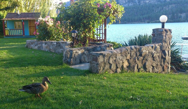 Okanagan Lake Front Home