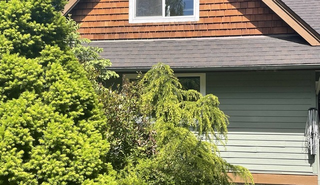 Peaceful and quiet location, rural setting in town
