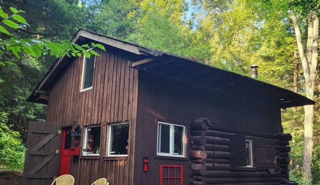 Peaceful Cabin in the Woods near lake, wildlife. Hike, swim, fish and boat.