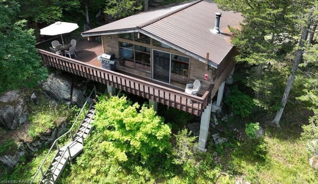 Peaceful/private cottage experience w/bunkie and kayaks (pet friendly)