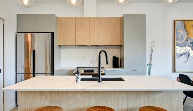 Penthouse Downtown 2BR 2BA Private Roof Terrace presented by TripMontreal