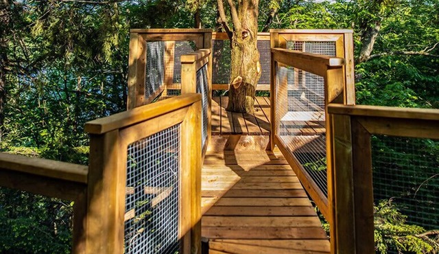 Perched lakeside treehouse, suspension bridge and deck | Lodging #16