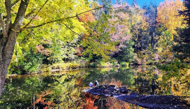 Perfect Escape from the city, recharge and connect with nature!