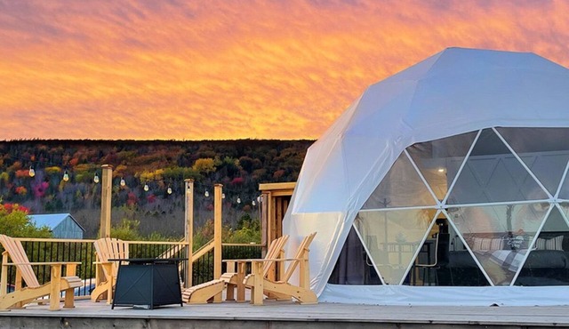 Port Wade Glamping Domes