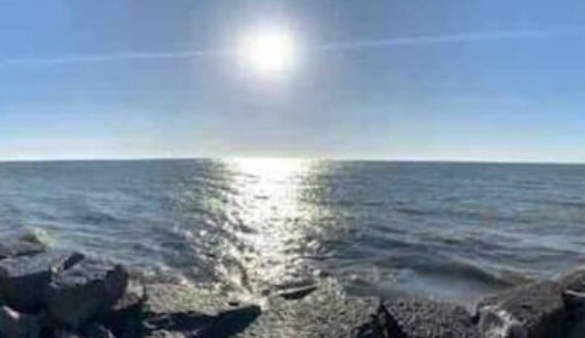 Private, Bright and Spacious Guest Suite