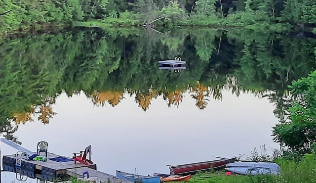 Private lake in the woods