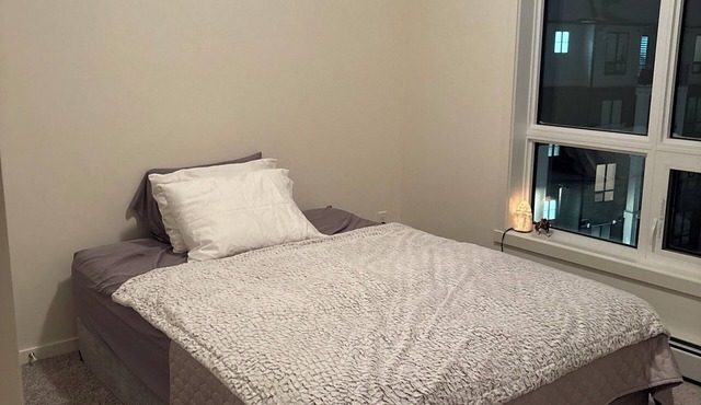 Private room in new condo with Large Washroom, Kitchen, Living Room and Balconey