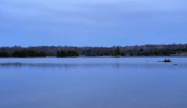 Real rejuvenation on Canal lake, 90 min from Toronto. Private water front & dock