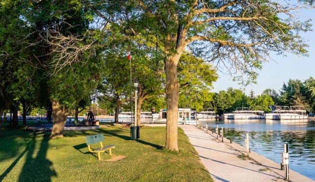 Rideau King 1Br Apartment Free Parking
