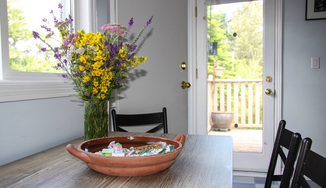 Roxie's retreat - A cute, well maintained 3 bedroom home, central location