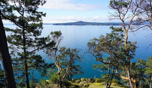 SaliHaven: Oceanfront 4Bedrom 3.5Bath 3Min to Lake