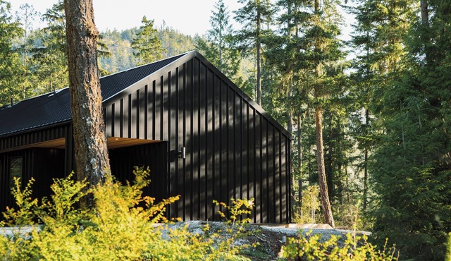 Scandinavian-inspired black cabin with cedar hot tub in a private forest.