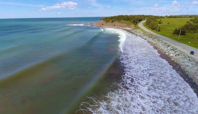Seabreeze Farm House- 5 minute walk to the beach!