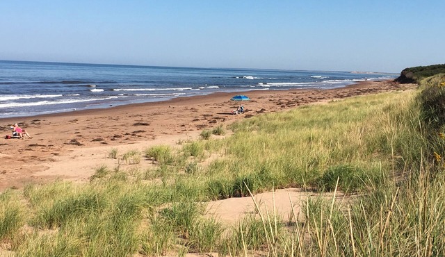 Secluded Carriage House Cottage, 10-minute walk to beautiful, North Shore beach