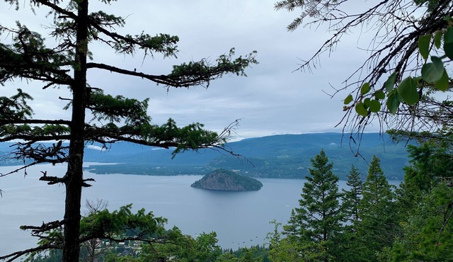Semi-Waterfront Retreat w/beach & dock access & buoy, west view, pet friendly