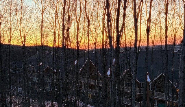 Ski-Bike - Magnifique condo en montagne… Votre maison dans les arbres!!!