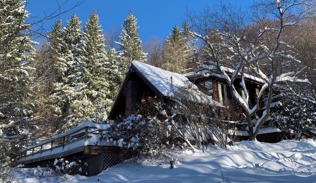 Ski chalet