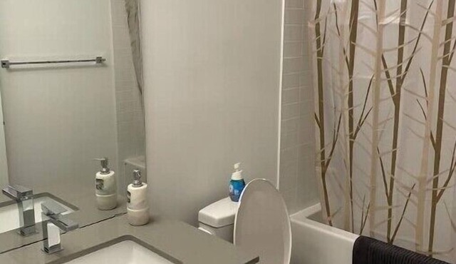 Stunning 1 Bedroom+Den Condo .