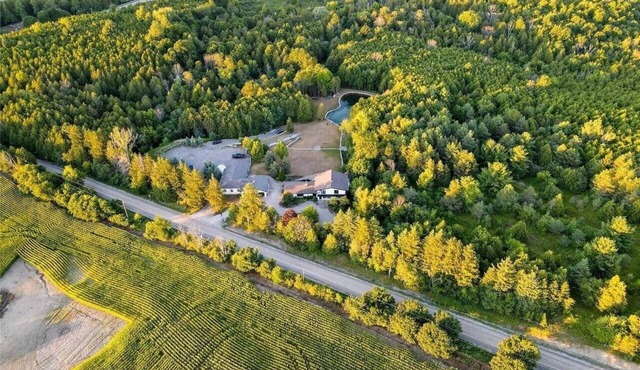 Stunning Farmhouse In Pickering!