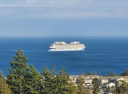 Stunning Ocean View Modern 1 BDR Private Entry Suite