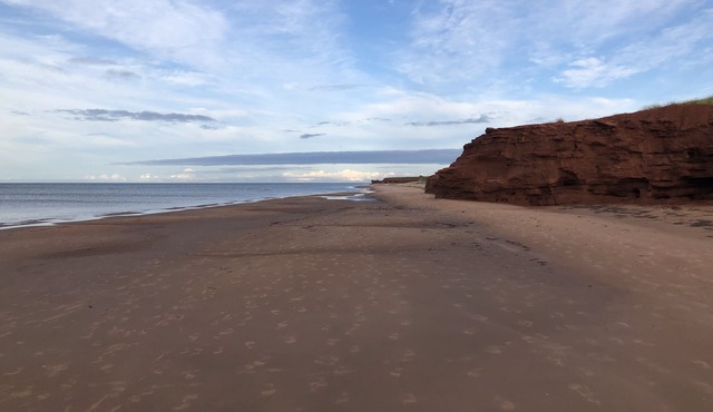 Summer Inn PEI