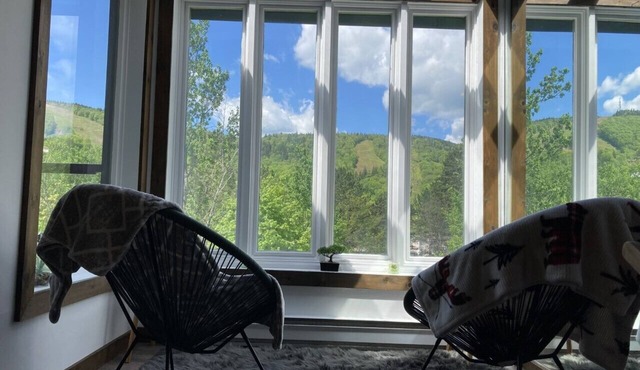 Superb condo facing Stoneham ski slopes!