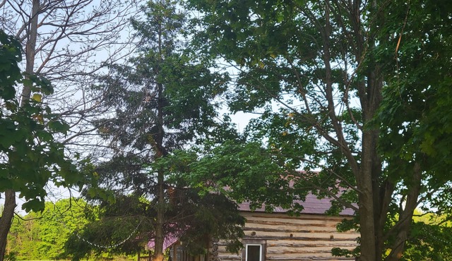 Take it easy at this unique getaway in beautiful backcountry of Lanark County.