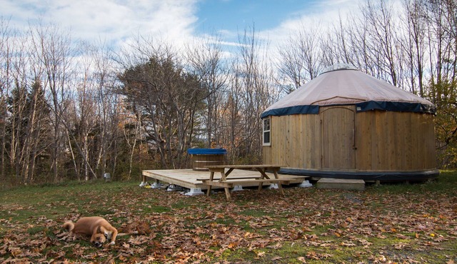 The Cedar Yurt at Cabot Shores Wilderness Resort