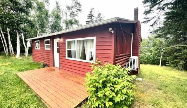 The Cozy Cabin