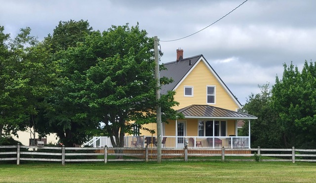 The Henderson Homestead - Completely Renovated Home, Quiet and Centrally Located