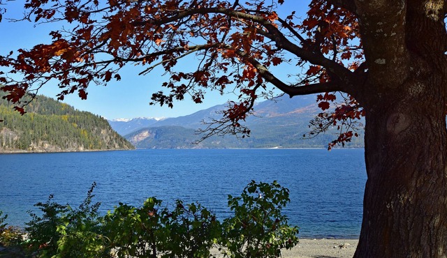 The Kootenay Vacation Sensation! Views, lake, hiking, caves, skiing & more!